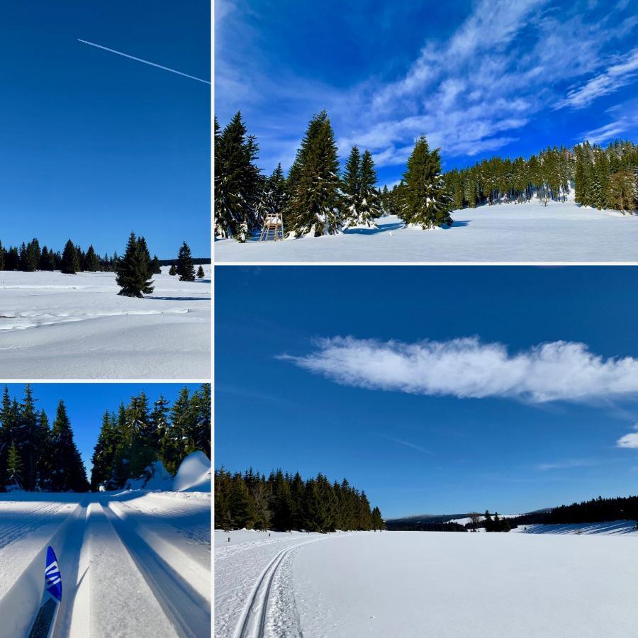 Apartman Ski Plesivec Abertamy Buitenkant foto