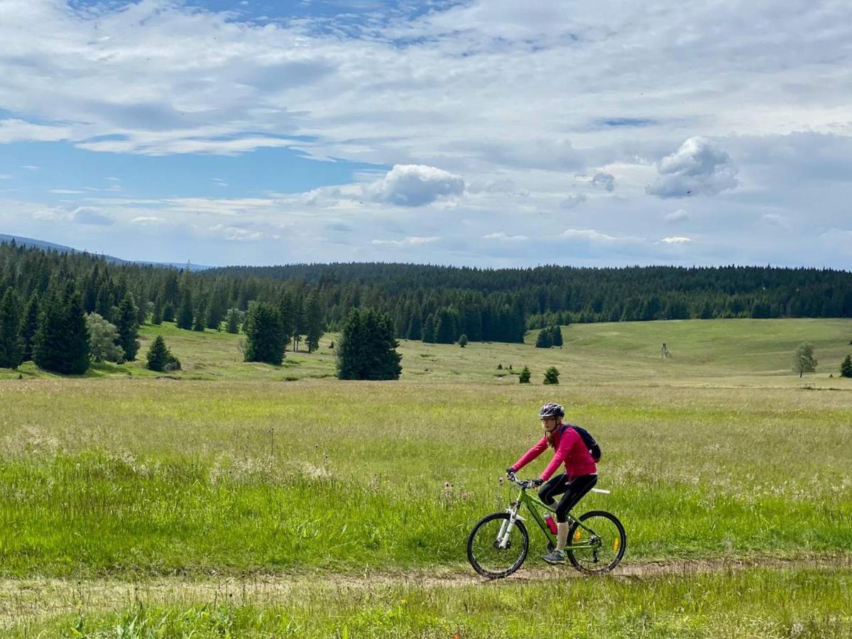Apartman Ski Plesivec Abertamy Buitenkant foto